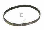 Brandt Poly v belt - 278h4 57x0381 Turbine Belt