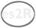 Square Belt - 31mm*1,2mm Round Belt